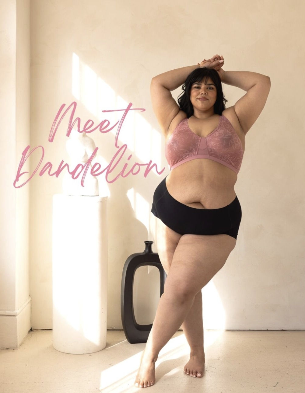 AILVI A. — Alaeria Agency